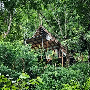 Sunset Valley Kerala Pool - Serene Natural Forest In Idukki With Sunrise & Sunset Panoramas, Natural Streams & Tranquil Summer Evenings Lodge